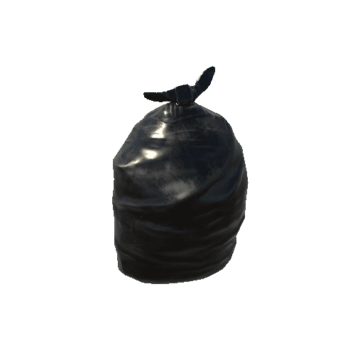 Trash Bag Black